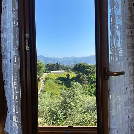 Casolare Di Adele Villa Montecarlo Ngoại thất bức ảnh